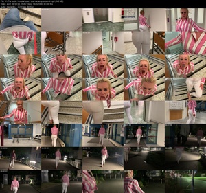 Devil Sophie - The public hospital toilet - use me as your urinal (1080p)