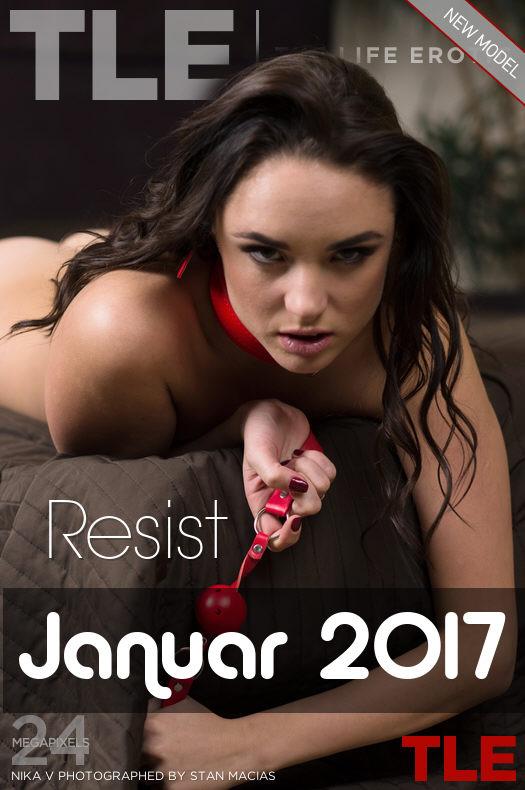 TheLifeErotic PicturePack Januar 2017