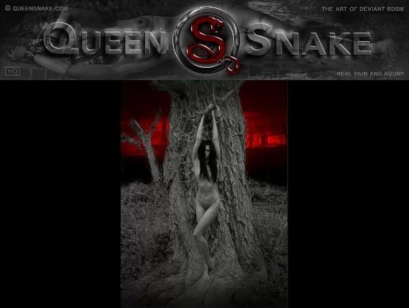 Queensnake Pack (2019-2021) 1080p