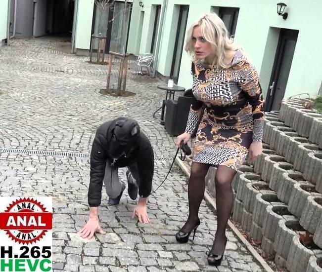 Brittany Bardot - Doggy Domination 720p / 1080p